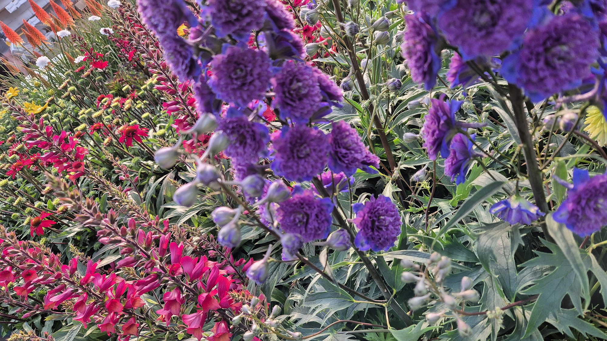 20250701_074509.jpg