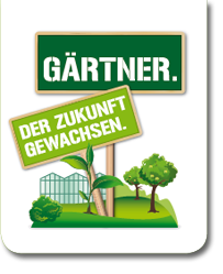 dzg_logo.png